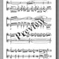 Luigi Scarpa, Metamorphosis, For cello and guitar - preview of the music score 3