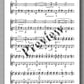 Jean Sibelius, Valse Triste Op. 44 - preview of the music score 2