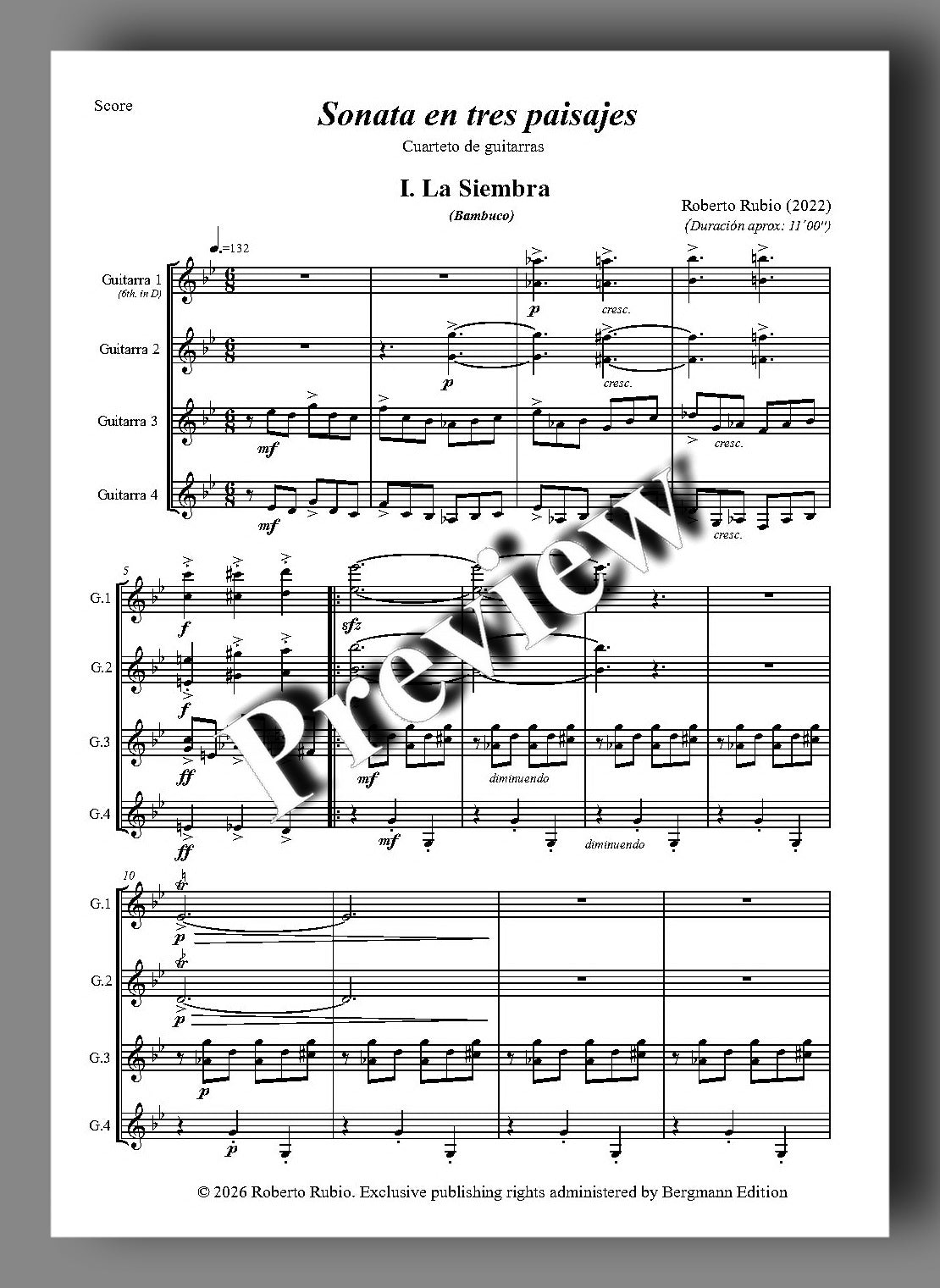 Sheet music page for 'Sonata en tres paisajes - Guitar 1' by Roberto Rubio, featuring  musical notation and a large diagonal 'Preview' watermark across the center.