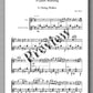 Ken Turley, Duo Sonata No. 5 in G Major, A Quiet Morning - preview of the music score 4