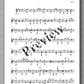 Sylvius Leopold Weiss (1687-1750), Sonata 46 - preview of the music score 3