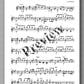 Andrew Williams, Complete Works for Solo Classical Guitar, Volume 4 - preview of the music score 3