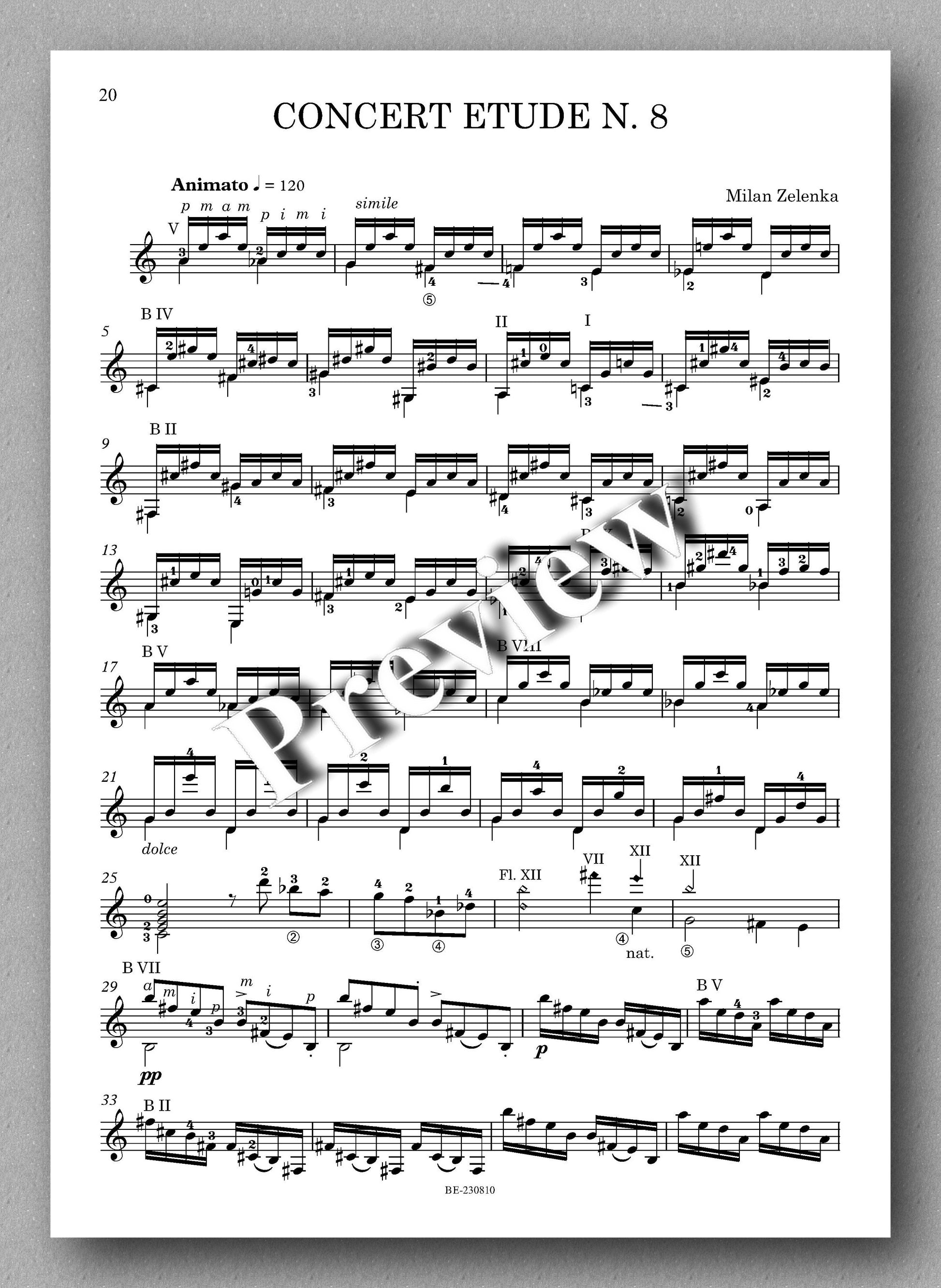 Milan Zelenca, 13 Concert Etudes - preview of the music score 3