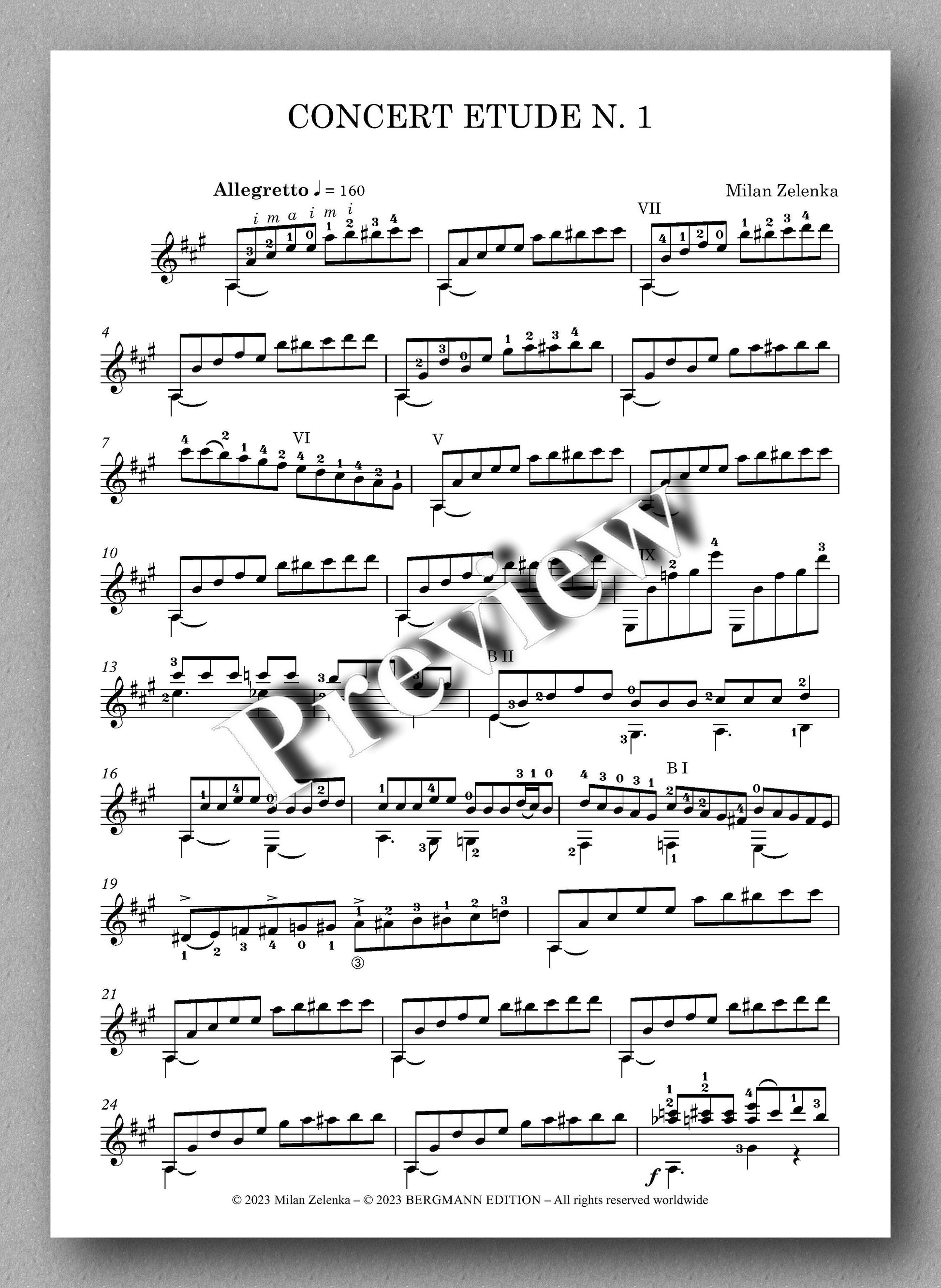 Milan Zelenca, 13 Concert Etudes - preview of the music score 1