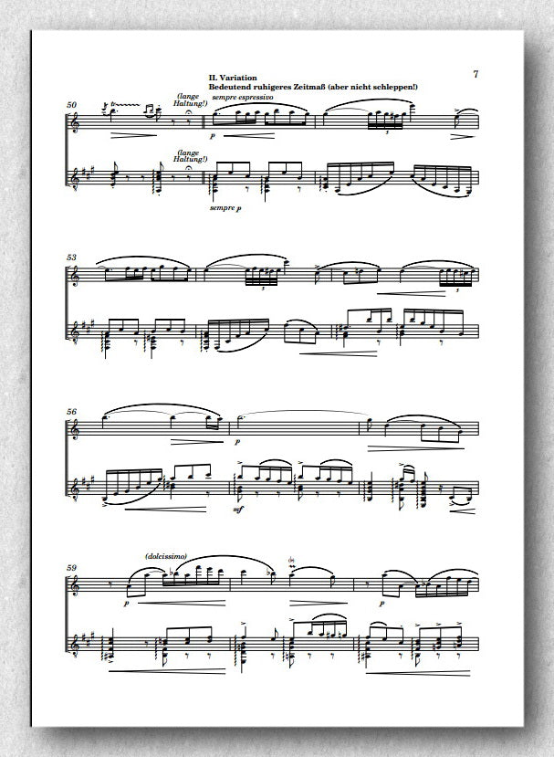 Rebay [034] Variationen über Schubert's Lied: "An die Laute" - preview of the score 2