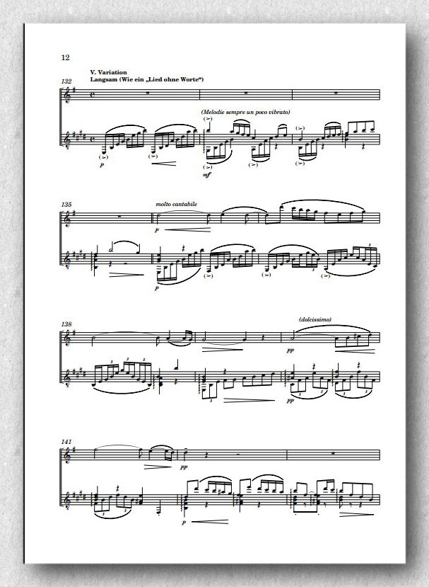 Rebay [034] Variationen über Schubert's Lied: "An die Laute" - preview of the score 3
