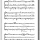 Rebay [056], Variationen über das "Tiroler Schützenlied" - preview of the score 2