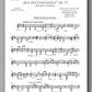 Rebay [079], Drei Stücke aus „Aus der Jugendzeit“ Op. 17, Max Reger - preview of the parts 3