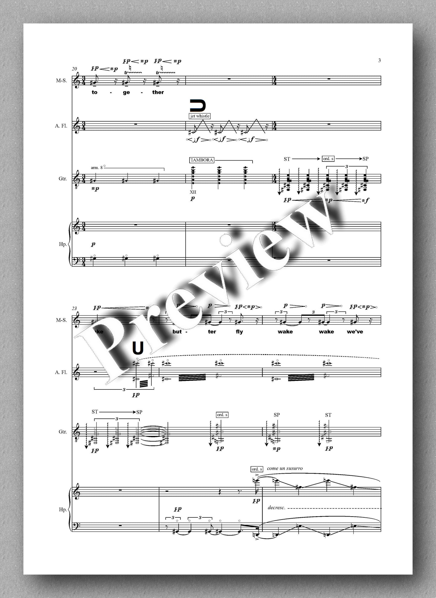 Louis Franz Aguirre, Butterfly's Wings - preview of the music score 3