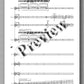 Louis Franz Aguirre, TOQUE - preview of the music score 1