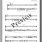 Danzas by Ralf Bauer-Mörkens - preview of the music score 3