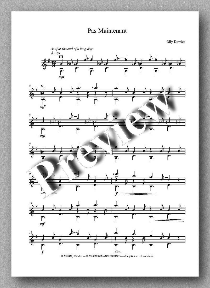 Dowlen, Five Pieces for Solo Guitar - preview of the music cover 2