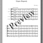 Filip Alilovic, Elegiac Rhapsody - preview of the music score 1