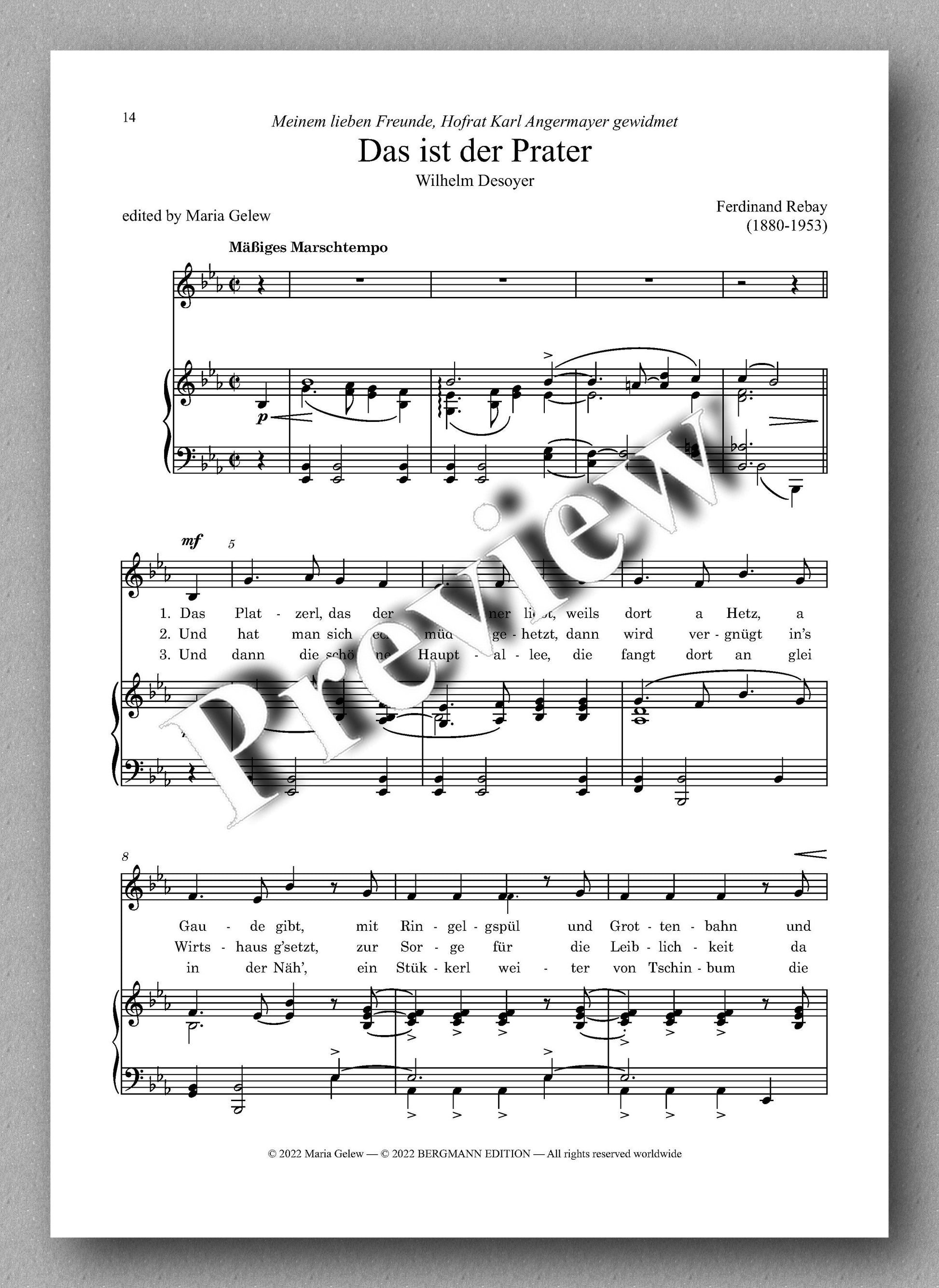 Ferdinand Rebay, Lieder nach Gedichten von Wilhelm Desoyer - preview of the music score 3