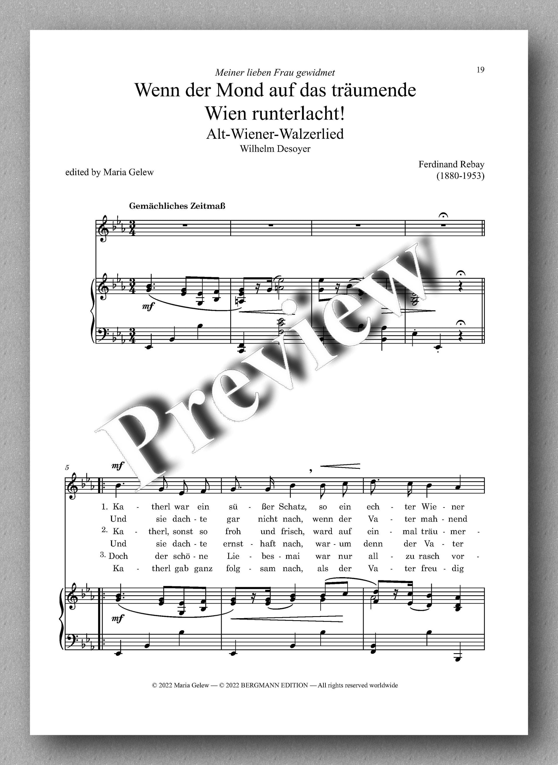 Ferdinand Rebay, Lieder nach Gedichten von Wilhelm Desoyer - preview of the music score 4