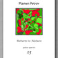 Return to Nature, guitar quartet no. 13 by Plamen Petrov - preview of the cover