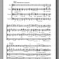 Quartet in a minor for Flute, guitar, viola and cello - preview of the score 2