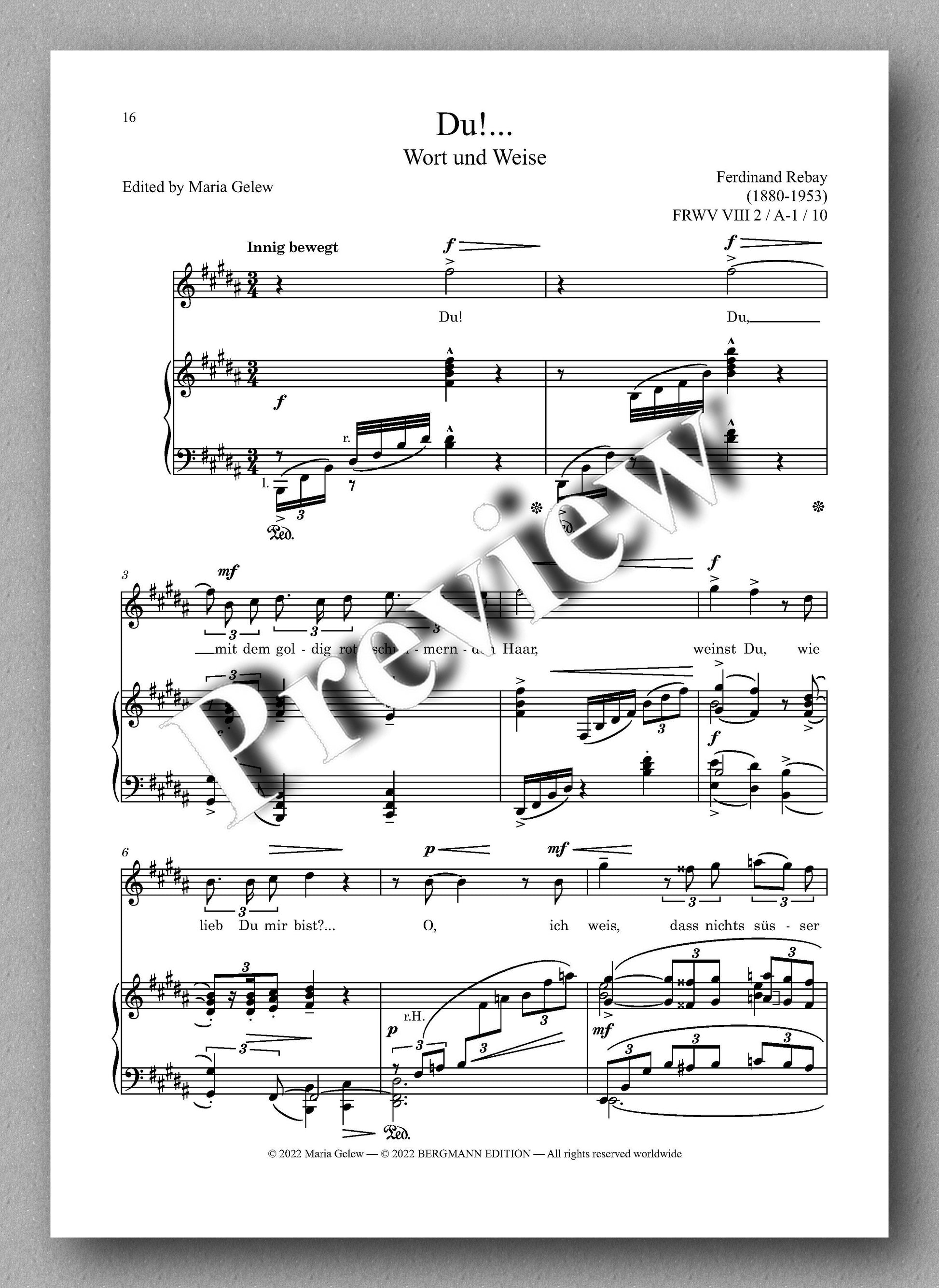 Ferdinand Rebay, Lieder nach eigenen Texten (1920) - preview of the music score 2