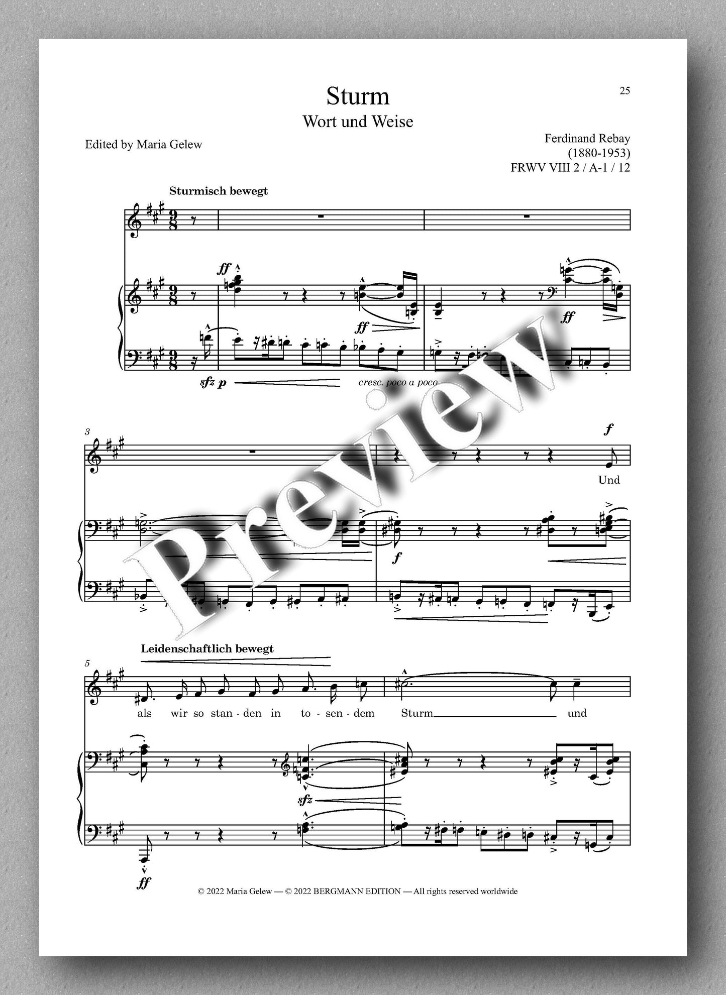 Ferdinand Rebay, Lieder nach eigenen Texten (1920) - preview of the music score 3