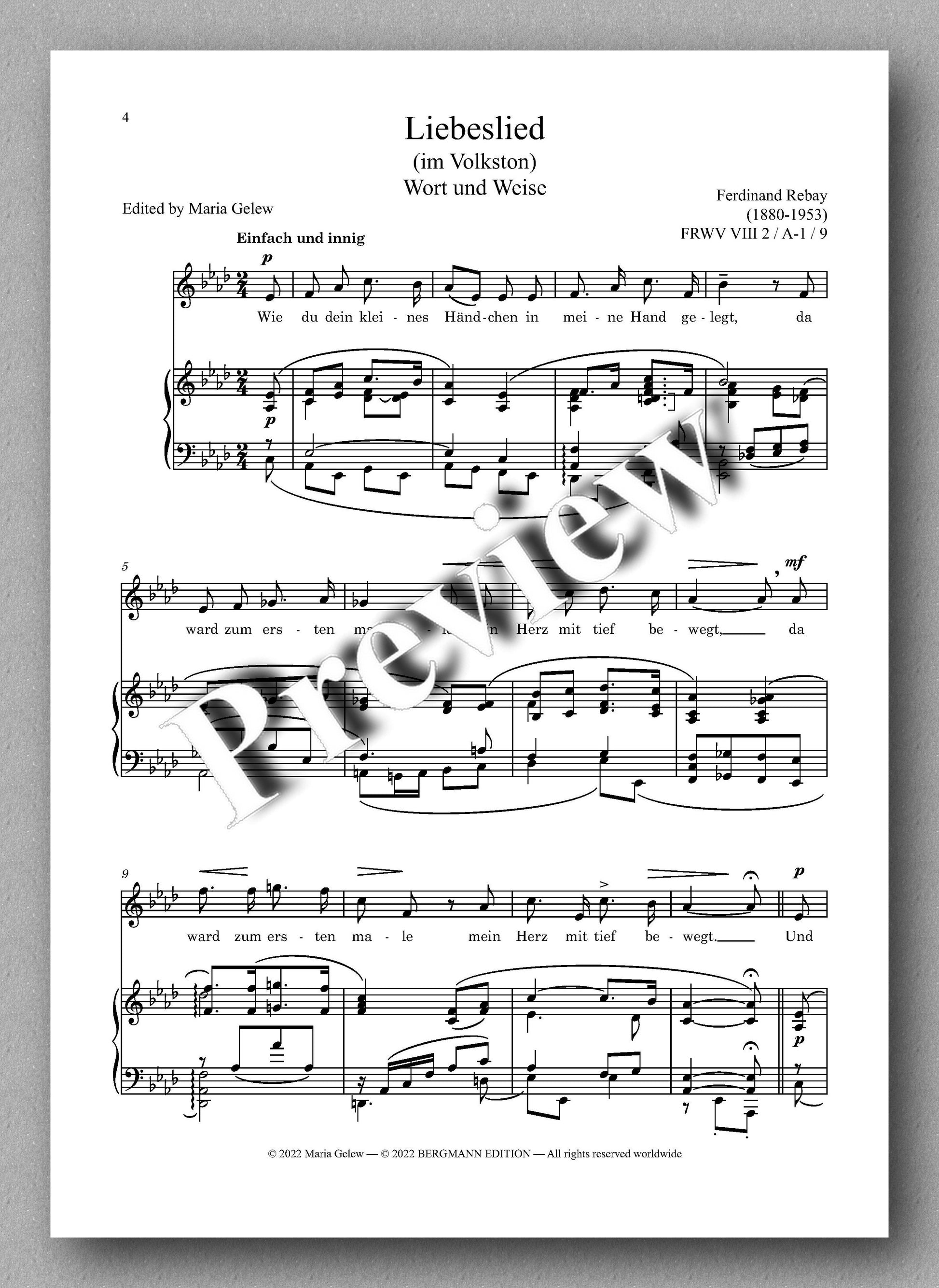 Ferdinand Rebay, Lieder nach eigenen Texten (1920) - preview of the music score 1