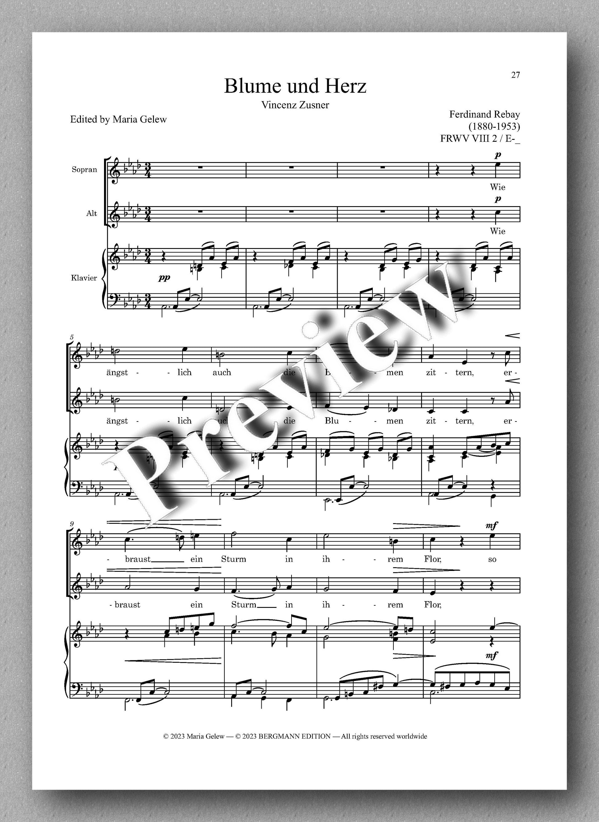 Ferdinand Rebay, Lieder für zwei Singstimmen mit Klavierbegleitung - preview of the music score 3