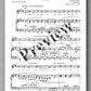 Ferdinand Rebay, Solo Lieder nach Gedichten verschiedener Dichter - preview of the music score 3