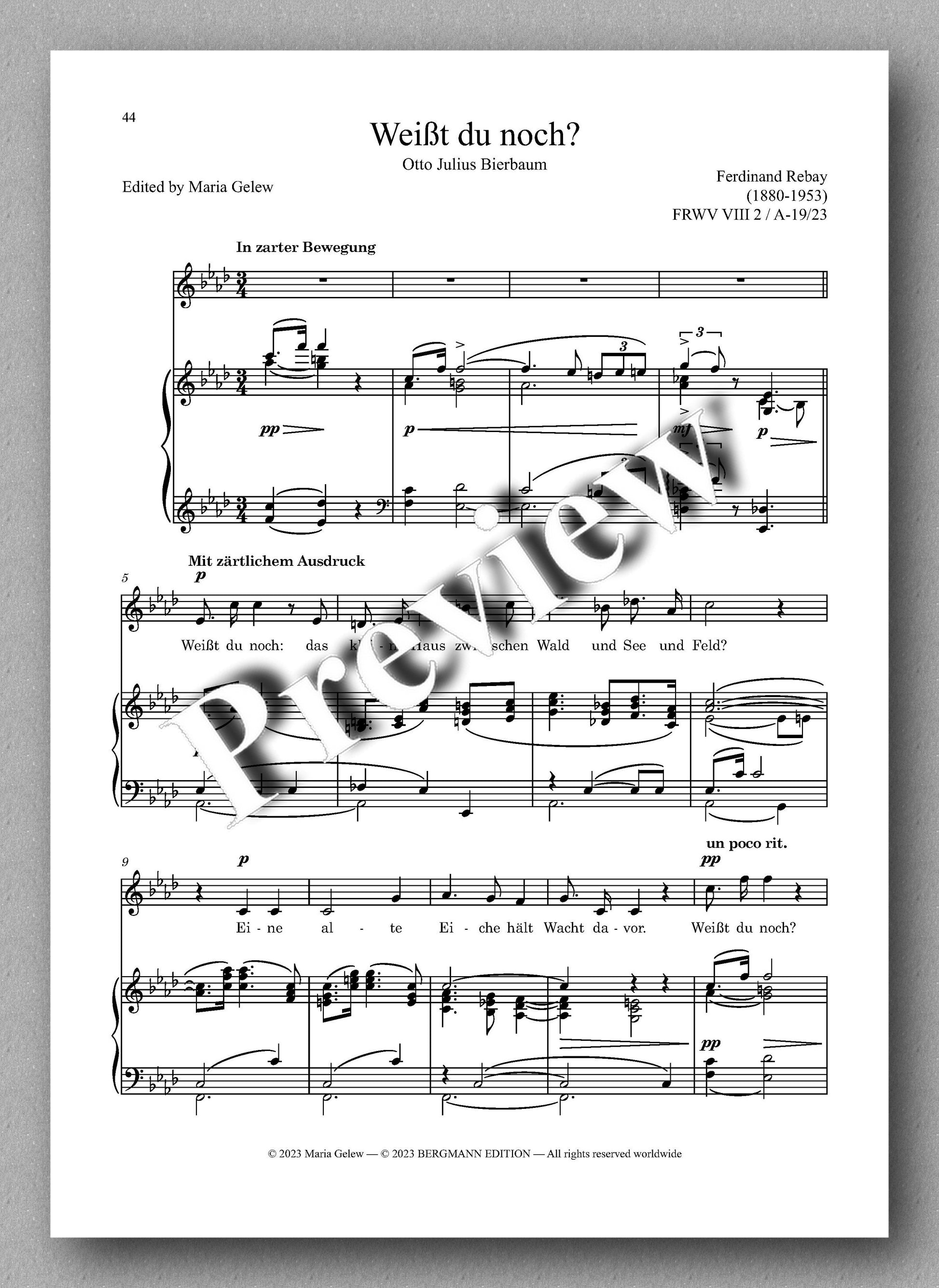 Ferdinand Rebay, Solo Lieder nach Gedichten verschiedener Dichter - preview of the music score 4
