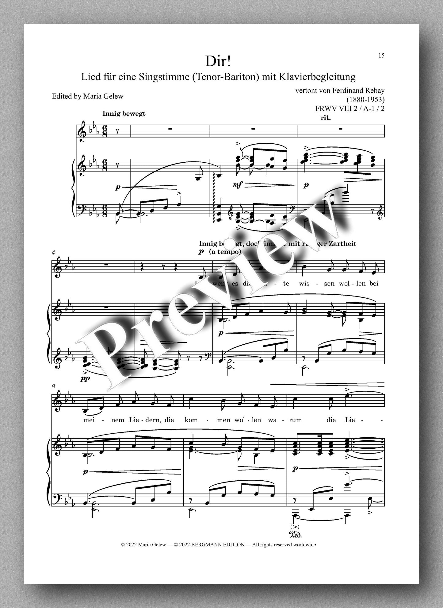 Ferdinand Rebay, Lieder nach eigenen Texten (1916-1917) - Preview of the music score 2