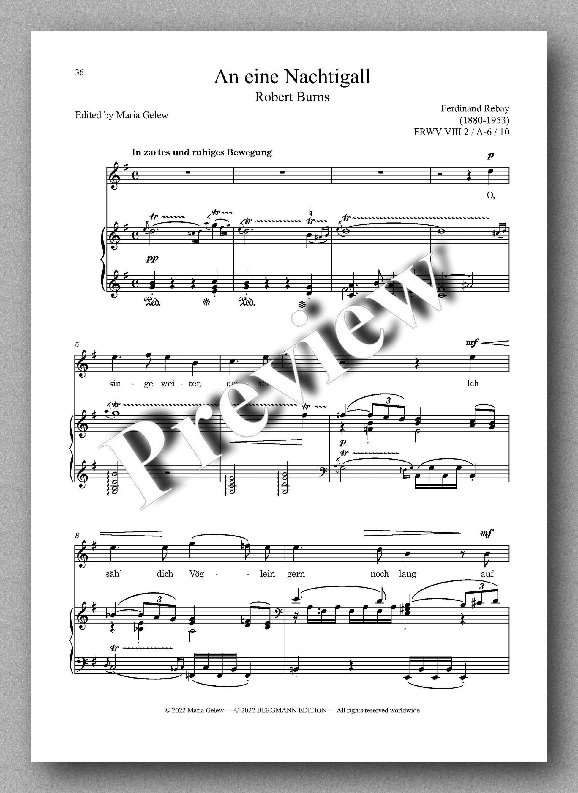 Ferdinand Rebay, Lieder nach Gedichten von Robert Burns (1759-1796) - preview of the music score 4