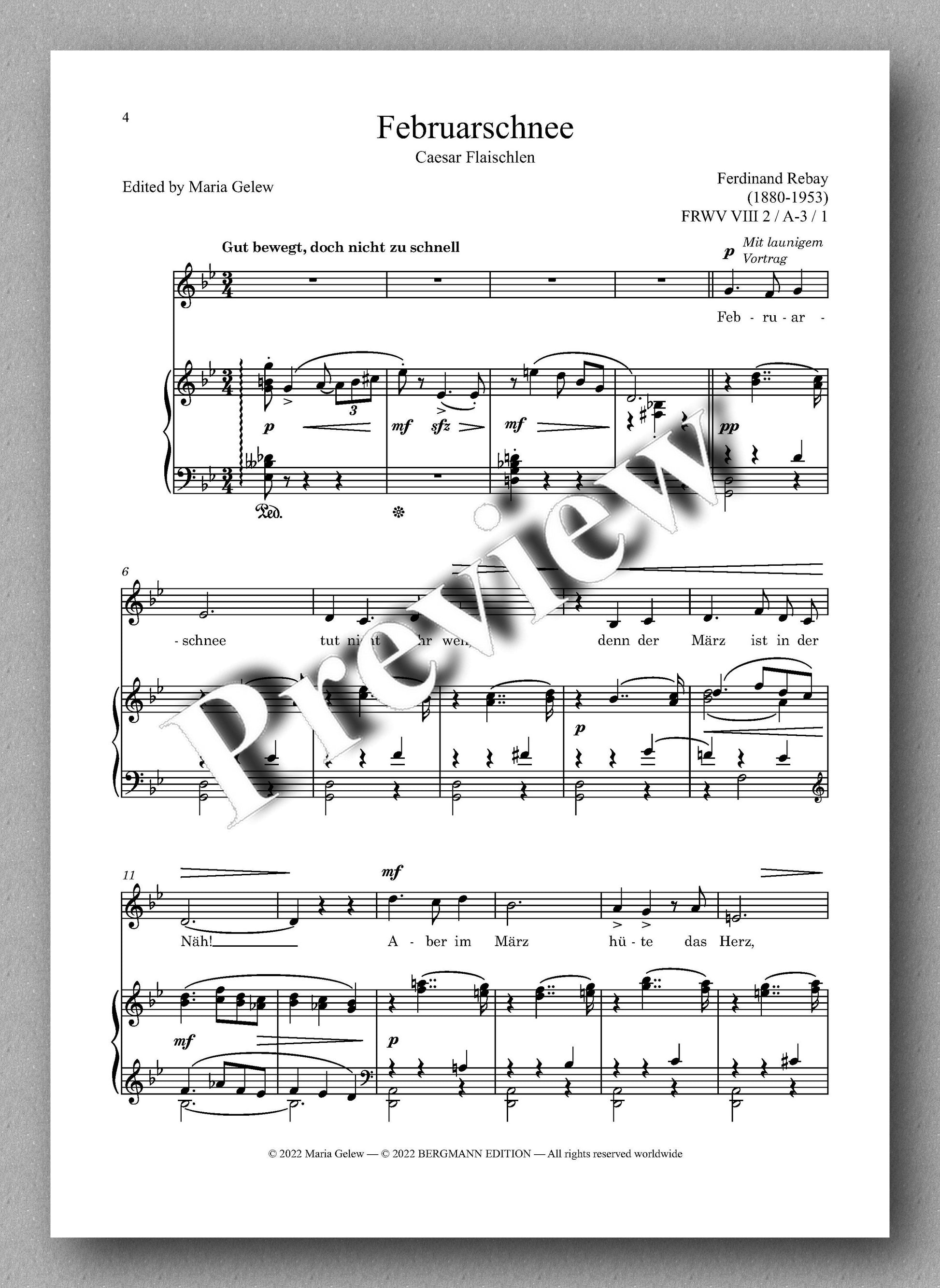 Ferdinand Rebay, Lieder nach Gedichten von Caesar Flaischlen - preview of the music score 1