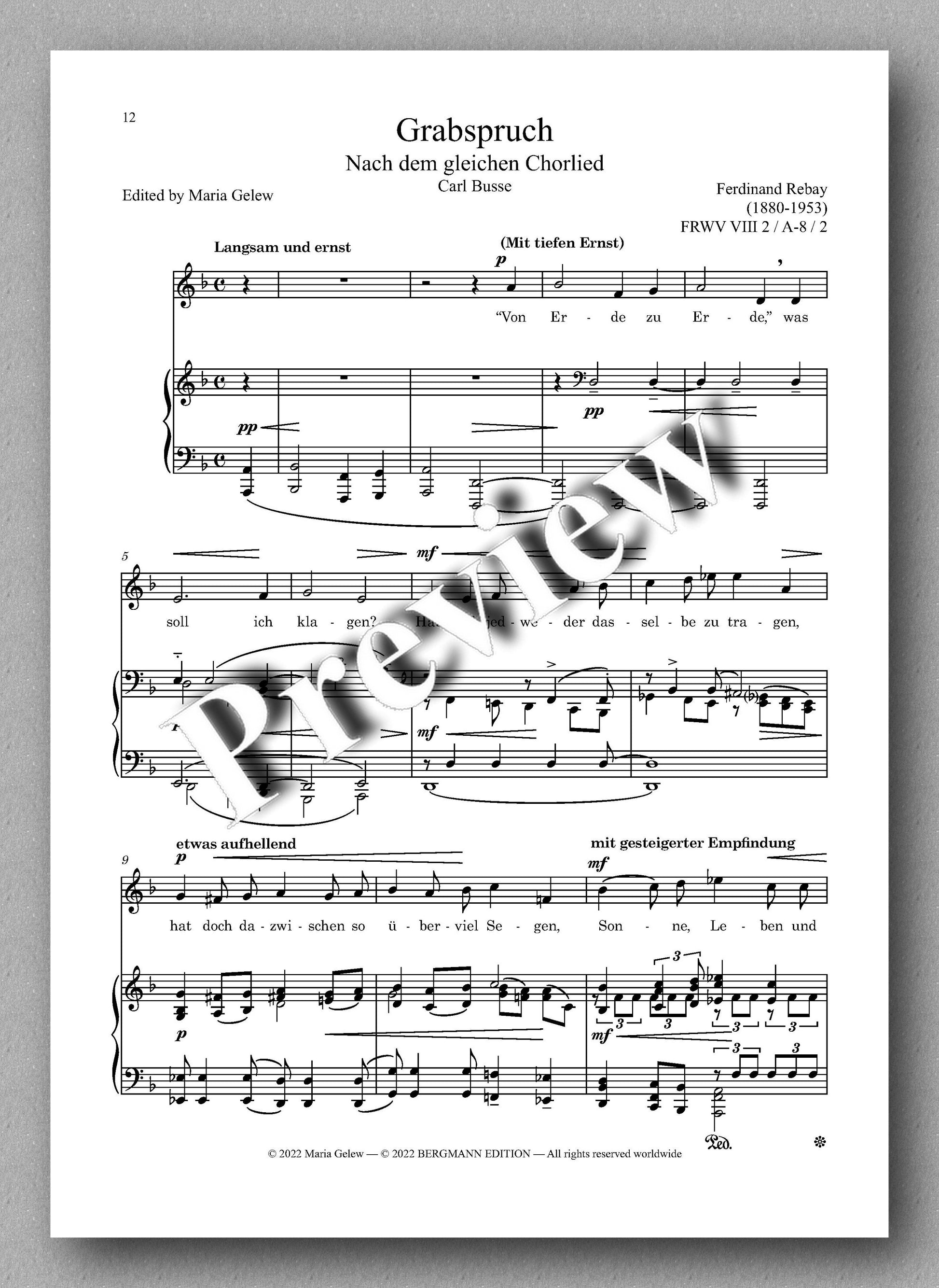 Ferdinand Rebay, Lieder nach Gedichten von Carl Busse und Max Bewer - preview of the music score 2