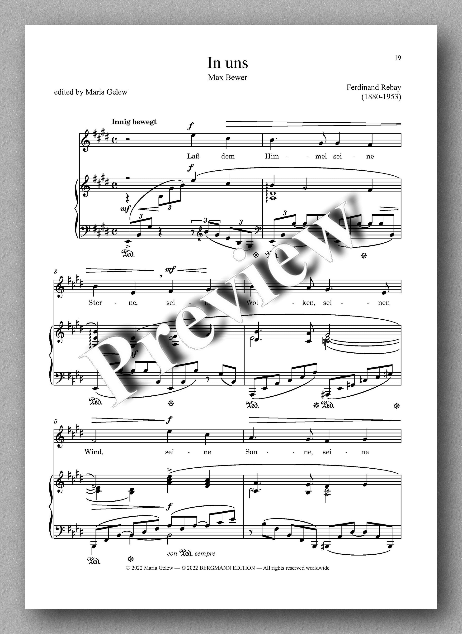 Ferdinand Rebay, Lieder nach Gedichten von Carl Busse und Max Bewer - preview of the music score 3