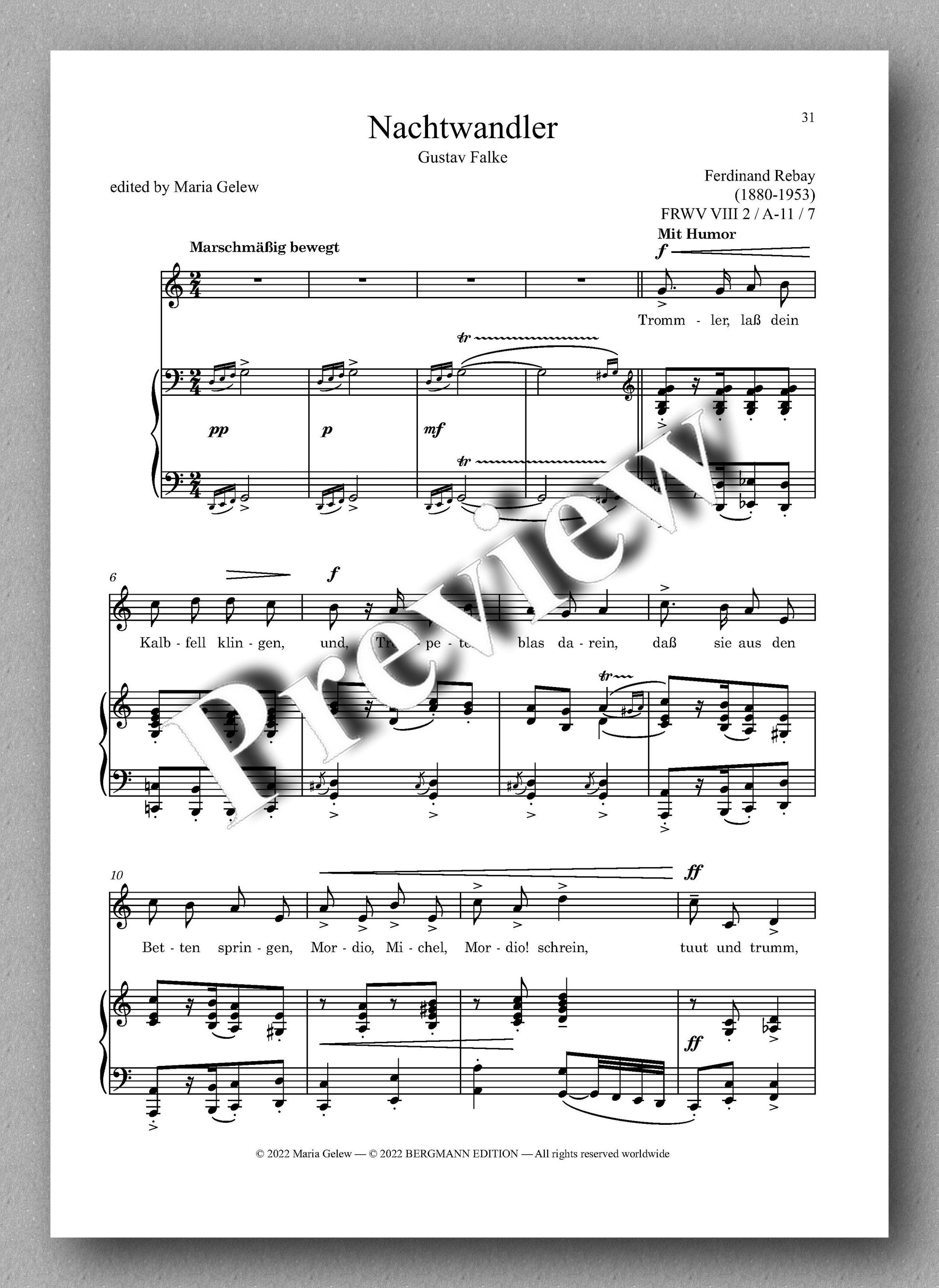 Ferdinand Rebay, Lieder nach Gedichten von Gustav Falke - preview of the music score 4