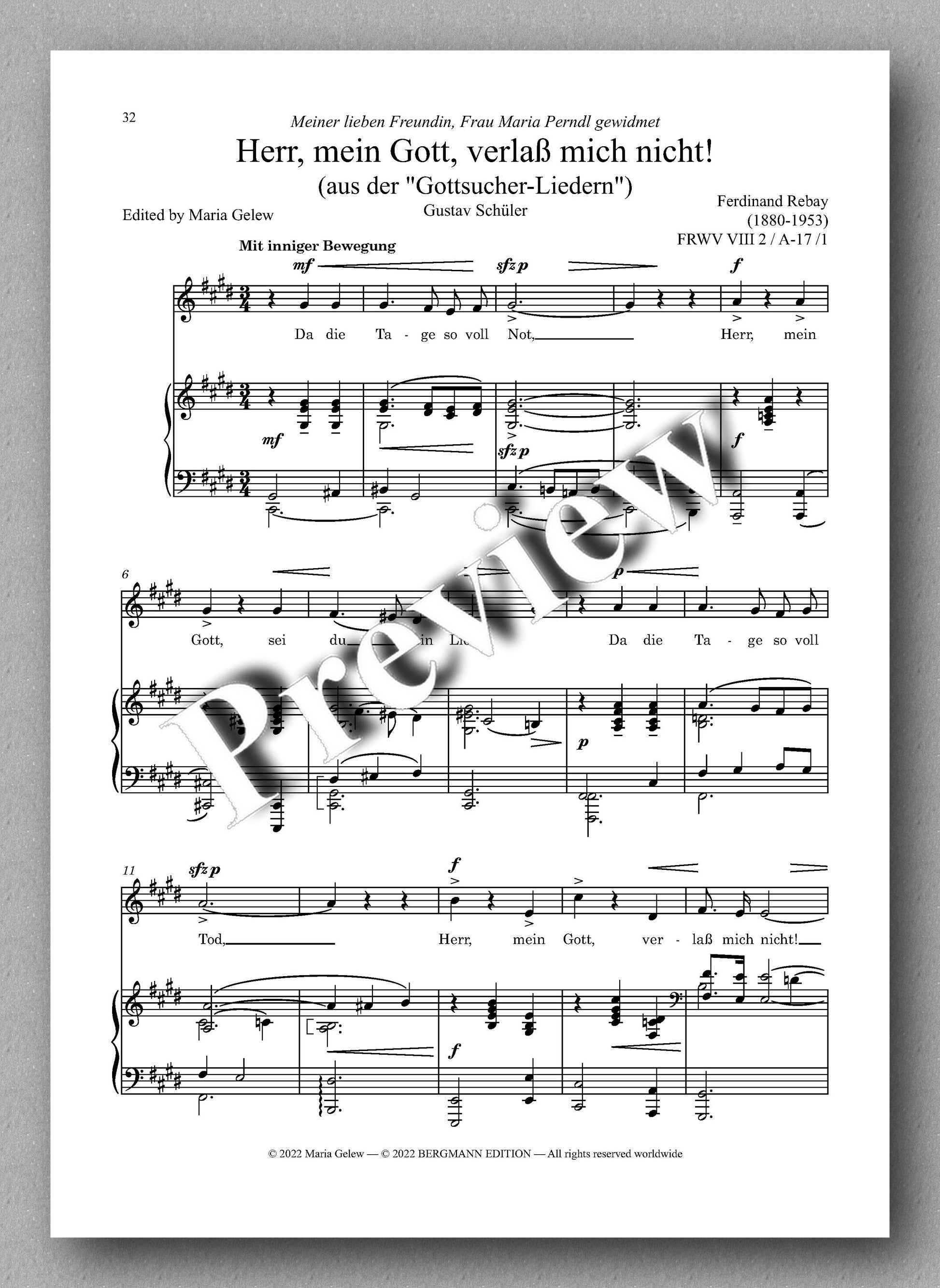Ferdinand Rebay, Lieder nach Gedichten von Wolfgang Madjera und Gustav Schüler - preview of the music score 3