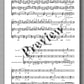 Rebay [167], Trio - music score 2