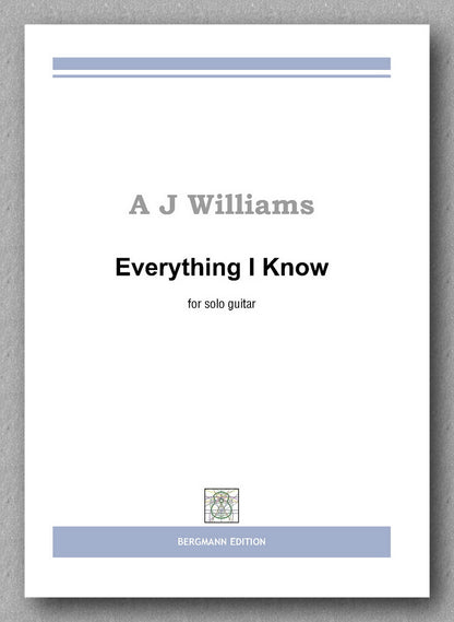 Andrew J Williams, Everything I Know - preview of the cover