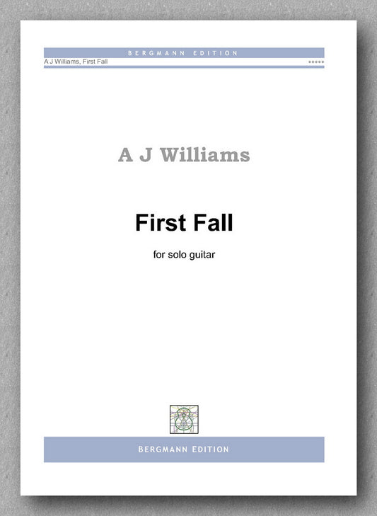 Andrew J Williams, First Fall - preview of the cover