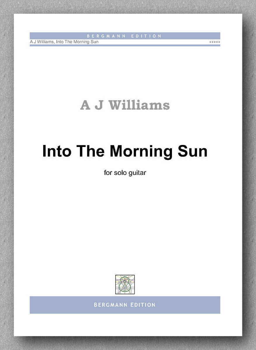 Williams, Into The Morning Sun - preview of the cover