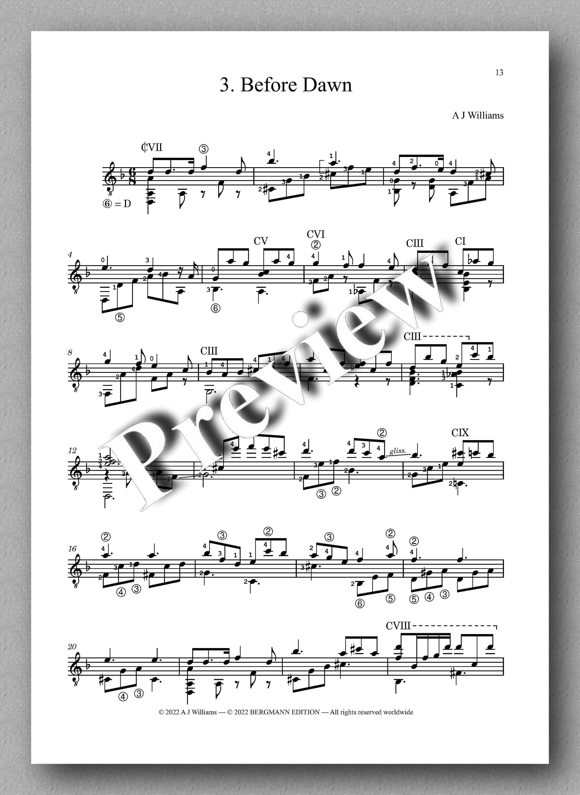 Andrew Williams, Complete Works for Solo Classical Guitar, Volume 4 - preview of the music score 2