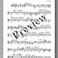 Andrew Williams, Complete Works for Solo Classical Guitar, Volume 4 - preview of the music score 3