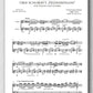 Rebay [064], Variationen über Schubert's "Heidenröslein" - preview of the score 1